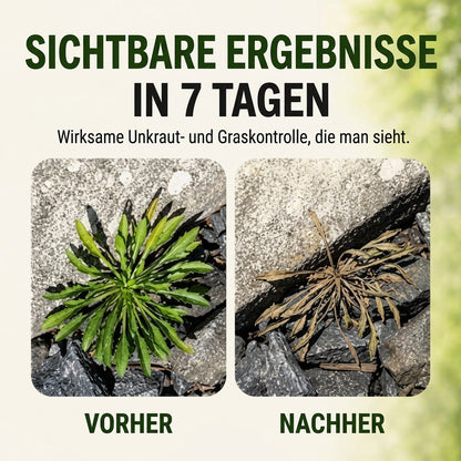🎁 Nur noch 5 Flaschen des schnell wirkenden, natürlichen Sprays gegen Unkraut und Gras verfügbar! Sichern Sie sich heute 30 % Rabatt und entfernen Sie hartnäckiges Unkraut ganz einfach – ohne aggressive Chemikalien. 🌱